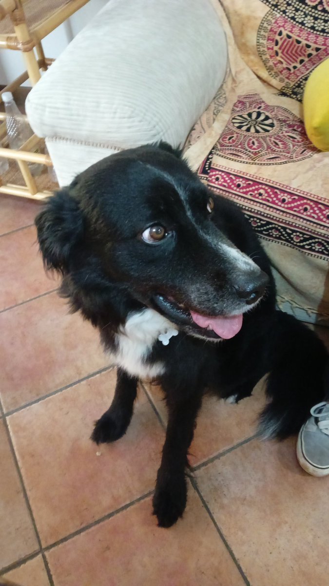 Il piccolo Leo