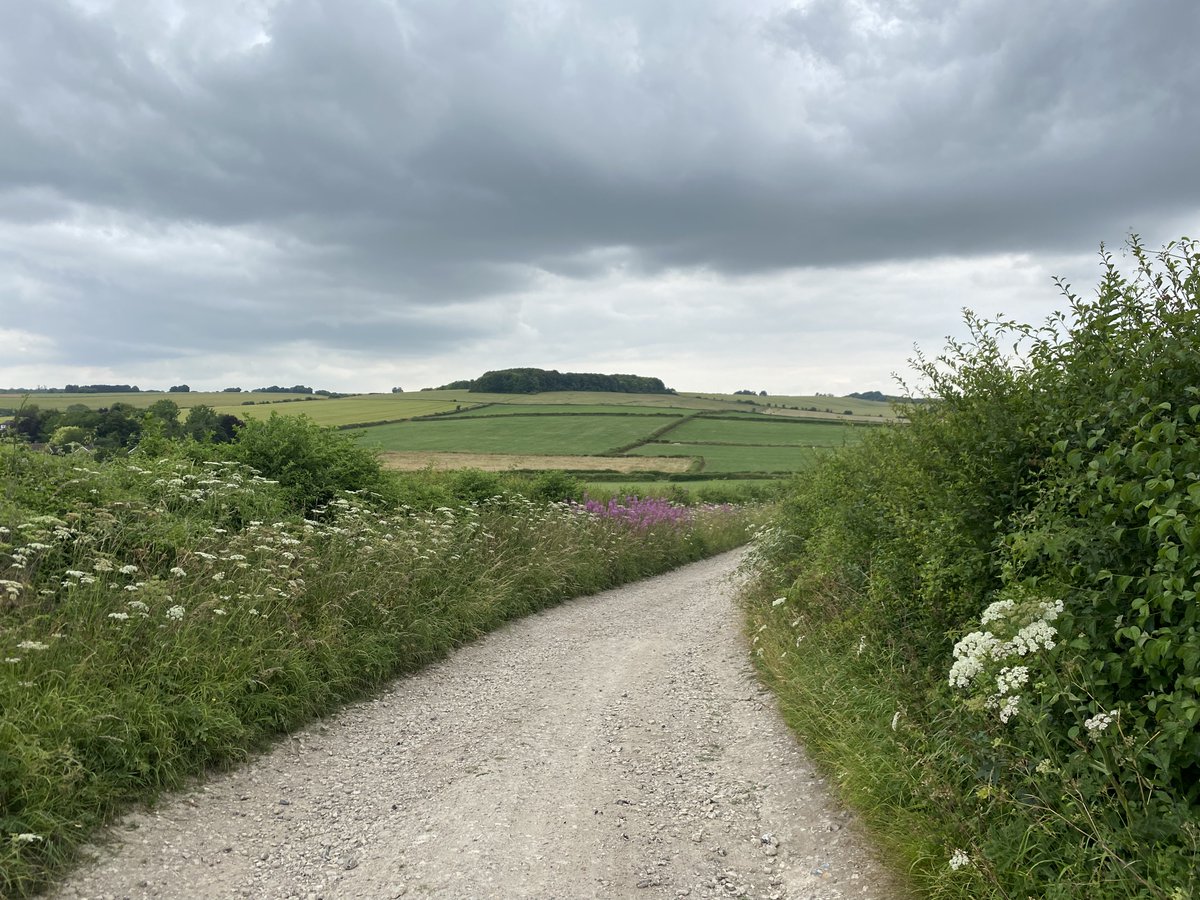 Day 179 of my #walk2023miles challenge supporting @TrussellTrust a 5 mile walk in the Wiltshire countryside this afternoon #stopukhunger #bootsonmiles #wiltshirewalks