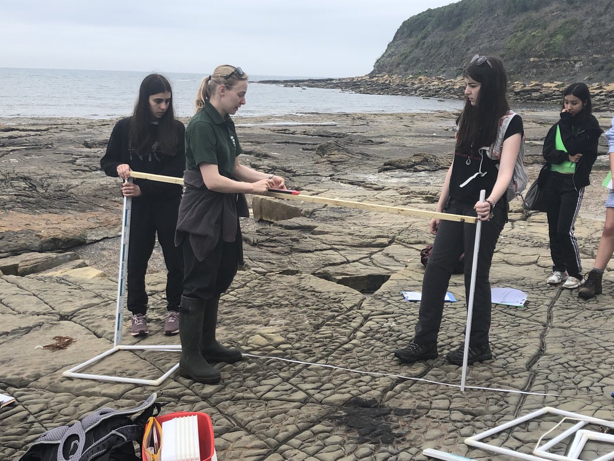 StSwithunsBio's tweet photo. L6 biologists field work Part II! Studying the zonation of Littorina saxatilis (Rough Periwinkle) and measuring the incline of the rocky shore at Kimmeridge Bay. #itswhoweare #kimmeridgebay #lessonhouse #stswithunsbiology https://t.co/KLOXmoJoZ9