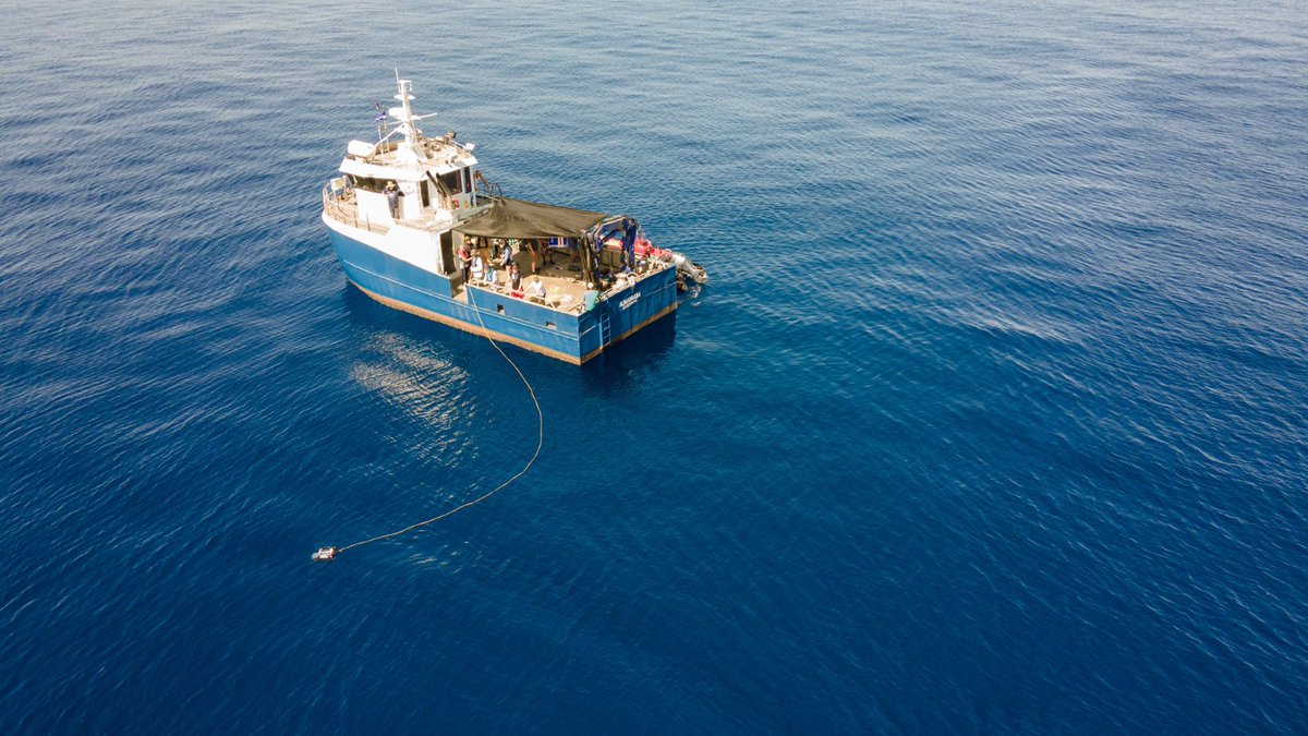 elisamasber's tweet photo. Back in the office after an amazing @SOLAS_IPO summer school in Cape Verde @OSCM_ 

Grateful for the opportunity to learn from fantastic teachers and present my research. 

The highlight? ➡️ connecting with over 60 fellow young scientists with remarkable SOLAS-related studies https://t.co/OZwnu7SYmr
