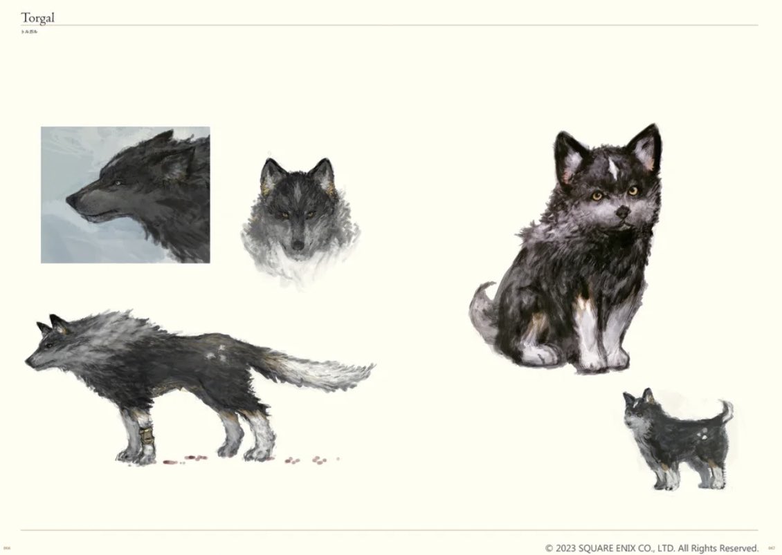 The Art of Final Fantasy XVI: 9781646092369: Square