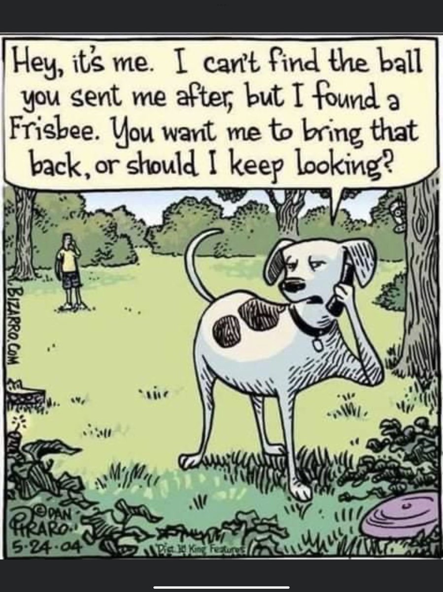 JM Shalley 🇨🇦 tweet media