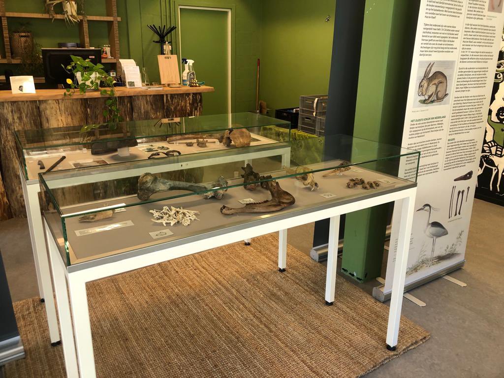 EXPO HUIS TER KLEEF 
150 kilo dierenbotten en 134 verschillende diersoorten… meer weten over de geschiedenis van Huis ter Kleef en de archeologische onderzoeken aldaar?
👉Nog tot en met 4 juli is onze mini expo te zien in het bezoekerscentrum NME in de Haarlemmer Kweektuin.