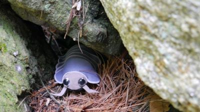 CrowsCastle's tweet image. Look what crawled out from under a rock! crowscastle.com/puppets/803-fo…   #pillbug #insect #bug #rolypol