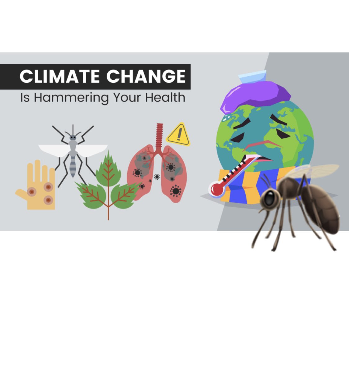 Malaria’s spreading in the US🦟

⚠️Five people caught malaria infections in Florida &amp; Texas.
Note: It’s significant, because the people who caught malaria have not traveled outside the country. Malaria diagnoses were normally in people who contracted the disease traveling abroad.