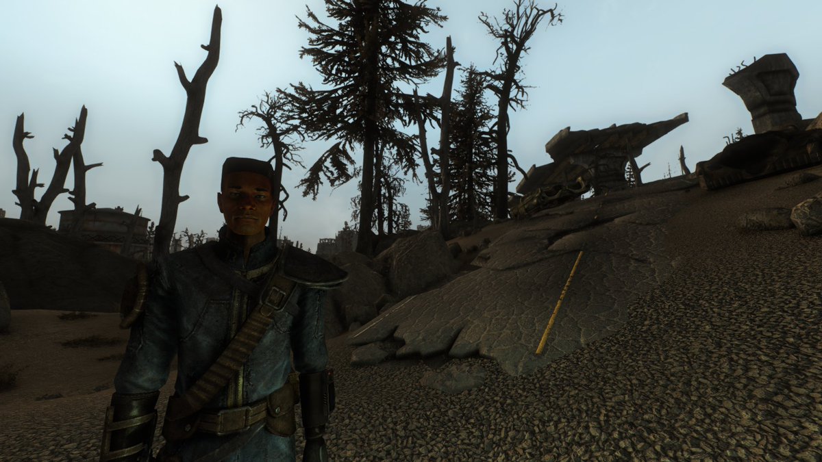SaulTNuts3's tweet photo. Finished the longest New Vegas playthrough of my entire life so far with Tale of Two Wastelands and a whole BUNCH of other mods installed. good game https://t.co/2fJg6acpxR