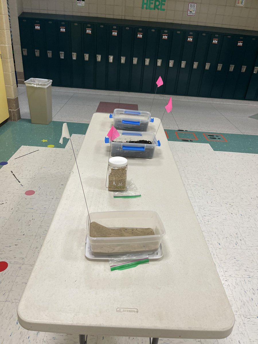 Kate Landeis tweet media