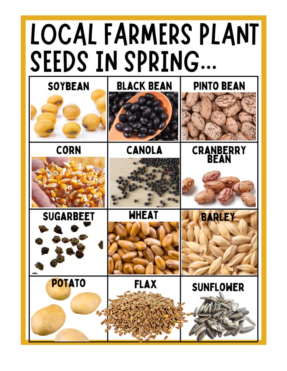 Kate Landeis tweet media