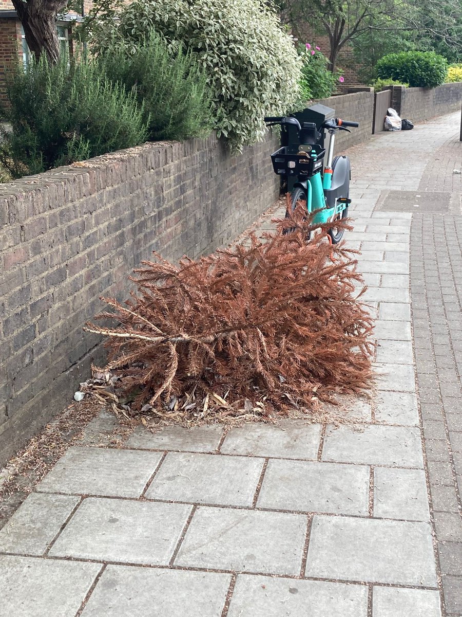 Here in Tooting we are still waiting for <a href="/wandbc/">Wandsworth Council</a> to pick up a Christmas tree. What a joke Labour are.