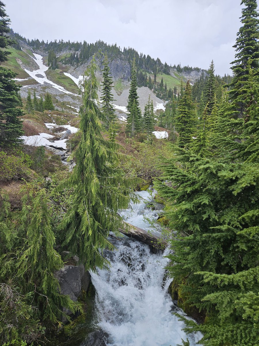 rwcarpenterphd's tweet image. It&apos;s been great, #rsa2023. But I&apos;m afraid you don&apos;t hold a candle to Mt. Rainier