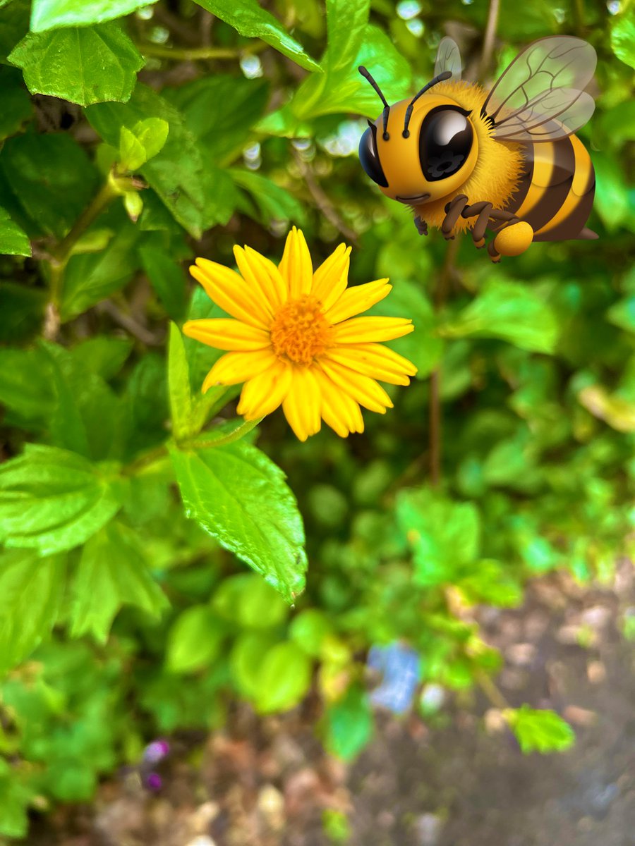 greenprojectl's tweet photo. #beehappy #greenprojectlife https://t.co/Gm7Hgnmh1i