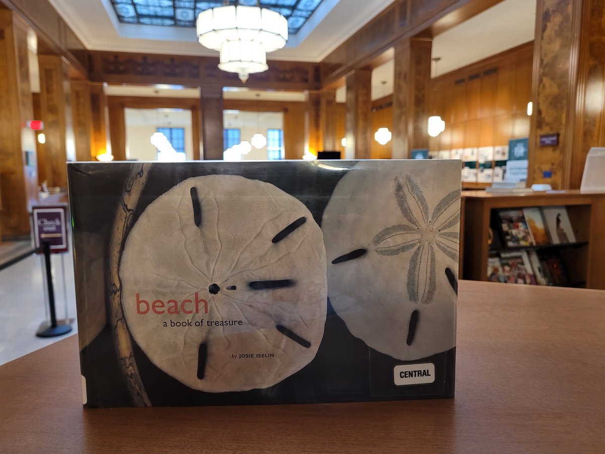 RocCityLibrary's tweet photo. Day 3 of #books with #beach in the title!ποΈ
A non-fiction pick from the Art Division.
@MPL_WI @Macedon_Library
#ROCtheLibrary #ROC #SummerReadingChallenge https://t.co/k9dY8ZZ7Mh