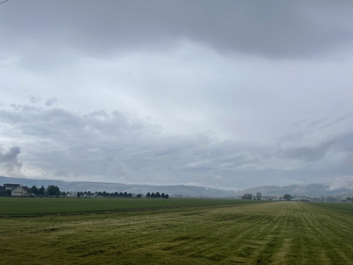 Field Crops Entomology-Oregon State University tweet media