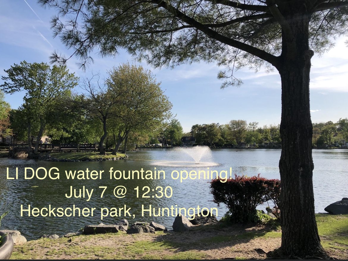 LI-DOG: Long Island Dog Owners Group tweet media