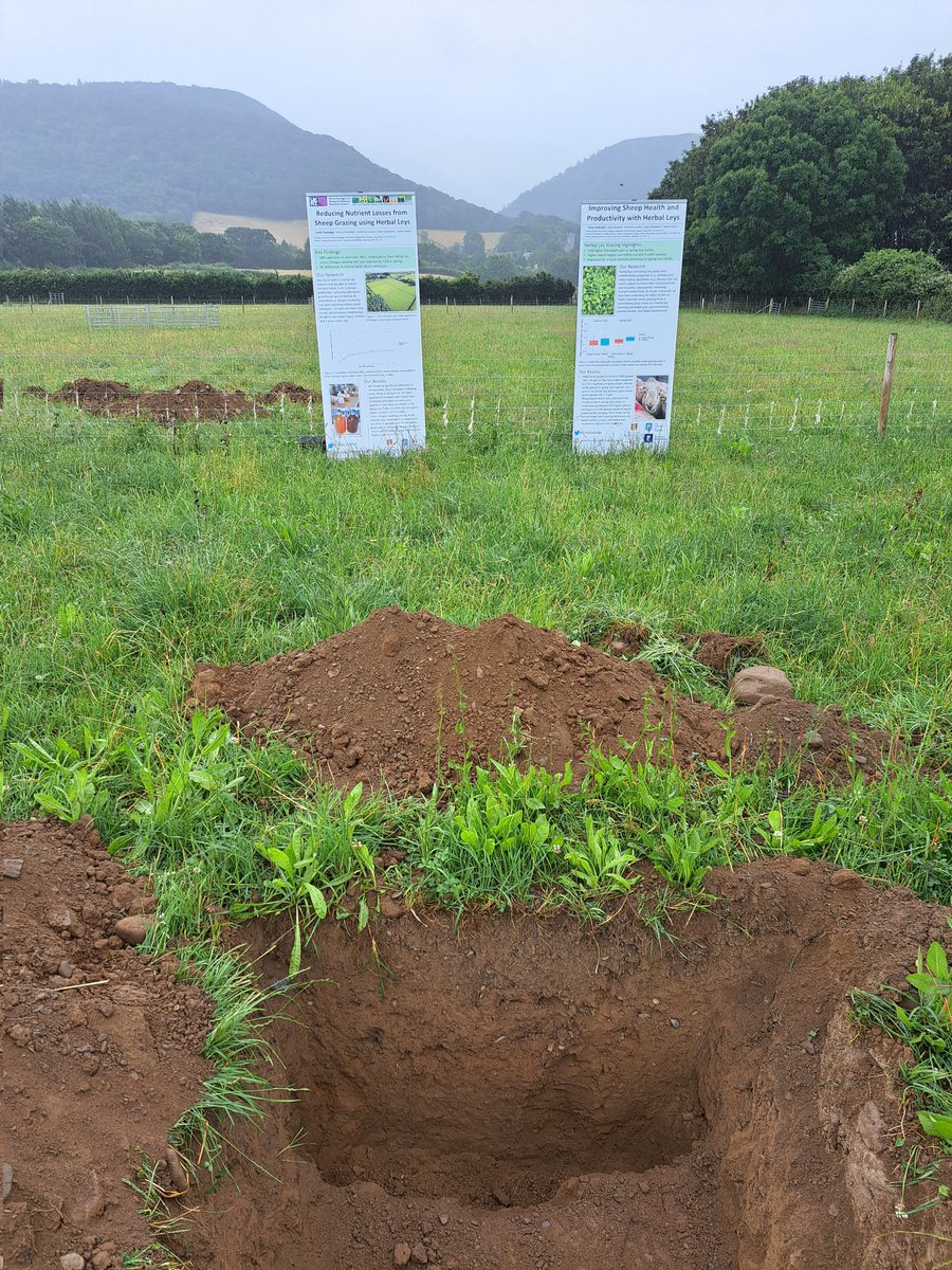 Dr Emily Cooledge tweet media