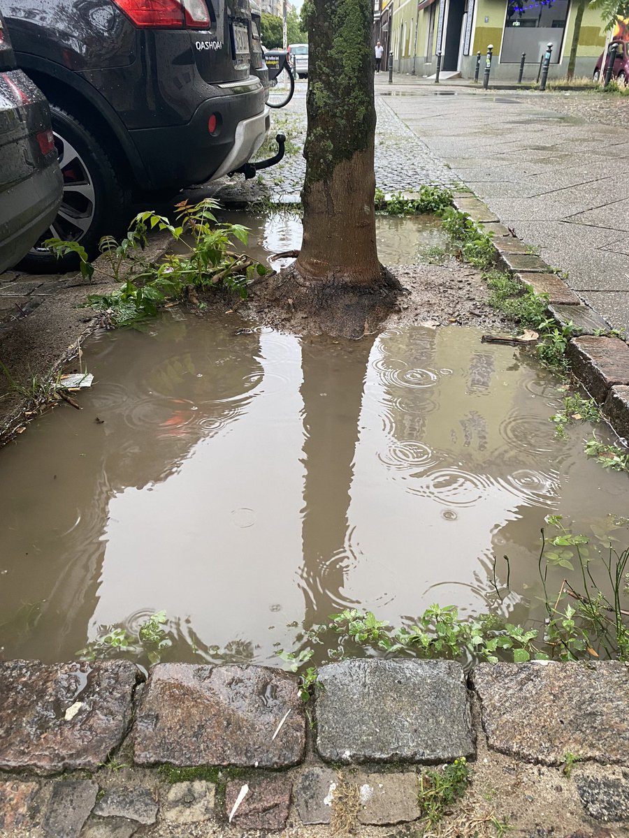 YsopStrauch's tweet photo. Nach Starkregen, mit und ohne Begrünung der #Baumscheibe. Wedding gegen die #Klimakrise  wappnen. #mittegießt 
@almut_neumann 
@BA_Mitte_Berlin https://t.co/W4JodHZ0Vk