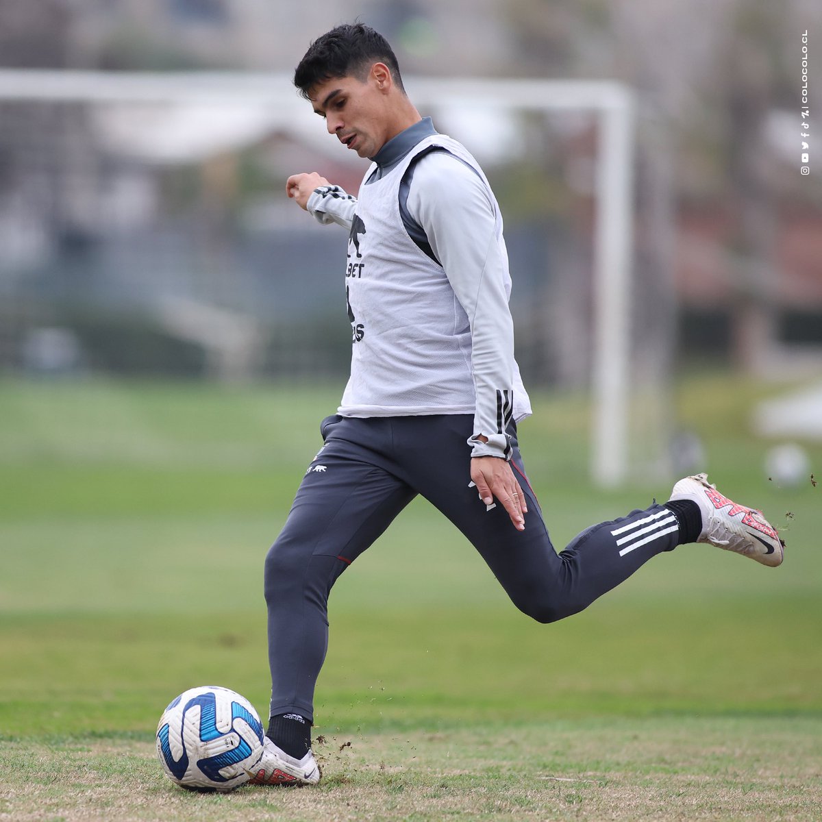 Colo-Colo tweet media