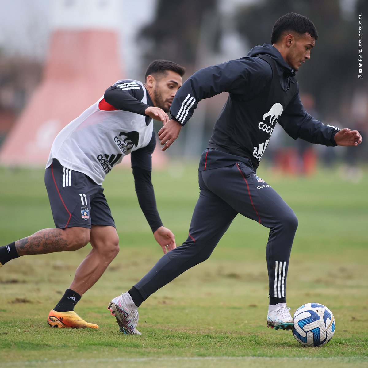 Colo-Colo tweet media