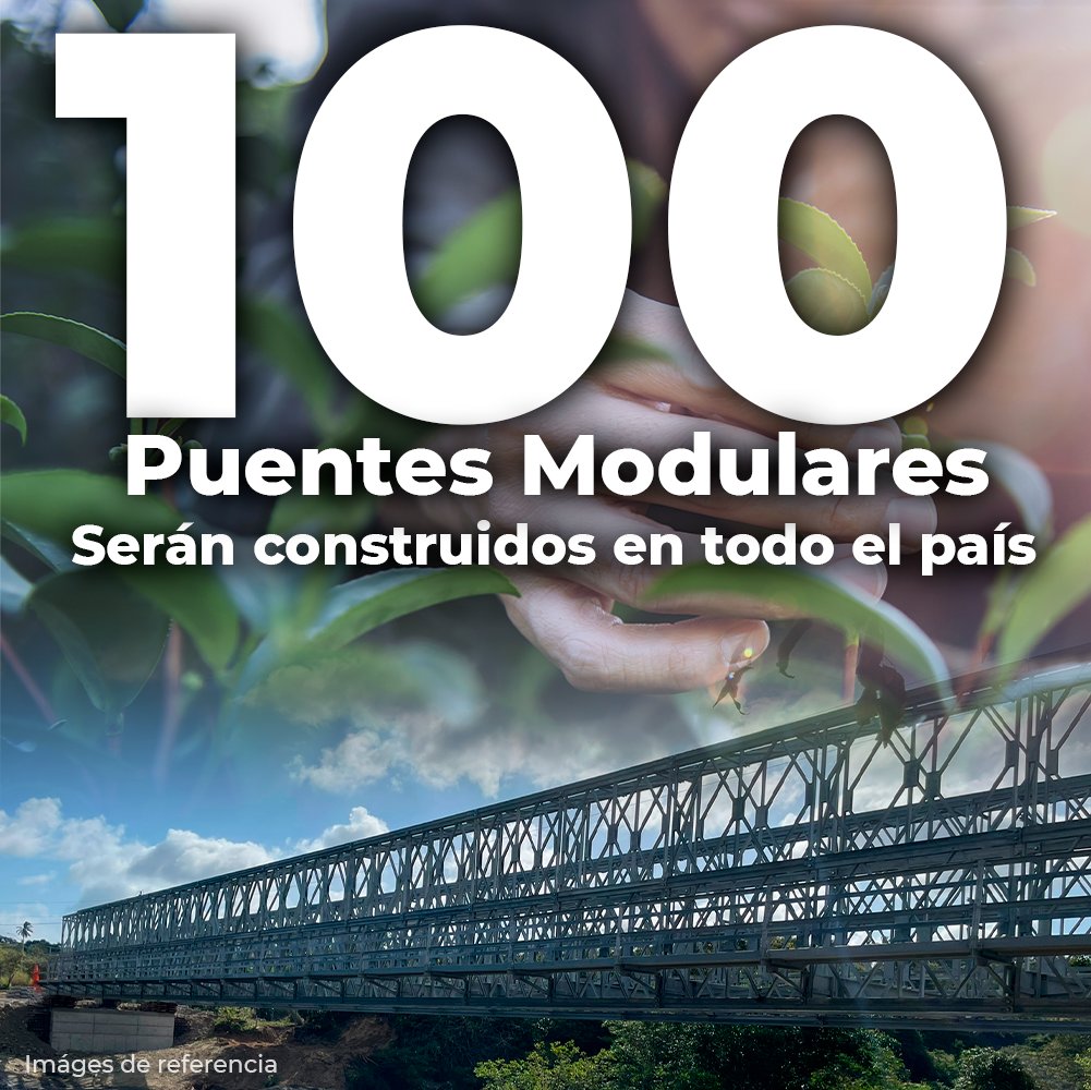 TEAM CEDULA 7 tweet media