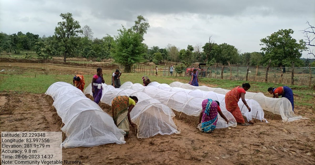 ForestDeptt's tweet image. Preparation of Tunnel nursery bed for vegetable cultivation by the women members of Beheradihi VSS of Ujalpur FMU. 21 VSS members of Beheradihi VSS involved in the activity. #OFSDP @CMO_Odisha @satyabrata1967 @pccfodisha