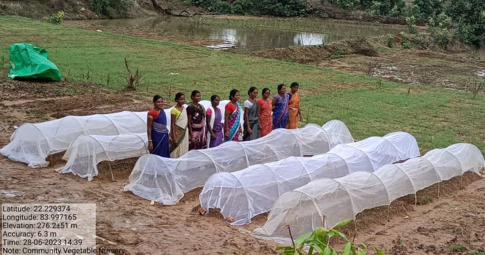 ForestDeptt's tweet image. Preparation of Tunnel nursery bed for vegetable cultivation by the women members of Beheradihi VSS of Ujalpur FMU. 21 VSS members of Beheradihi VSS involved in the activity. #OFSDP @CMO_Odisha @satyabrata1967 @pccfodisha