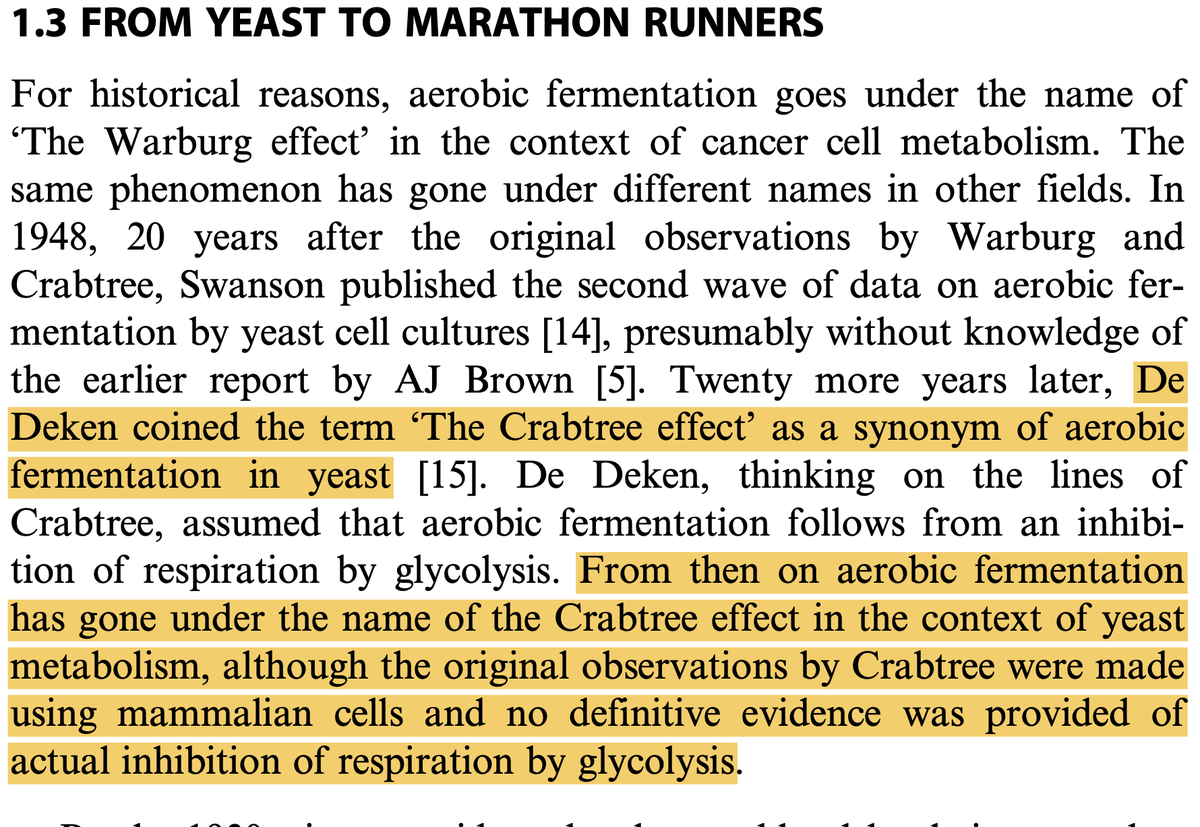 Lydia Finley tweet media
