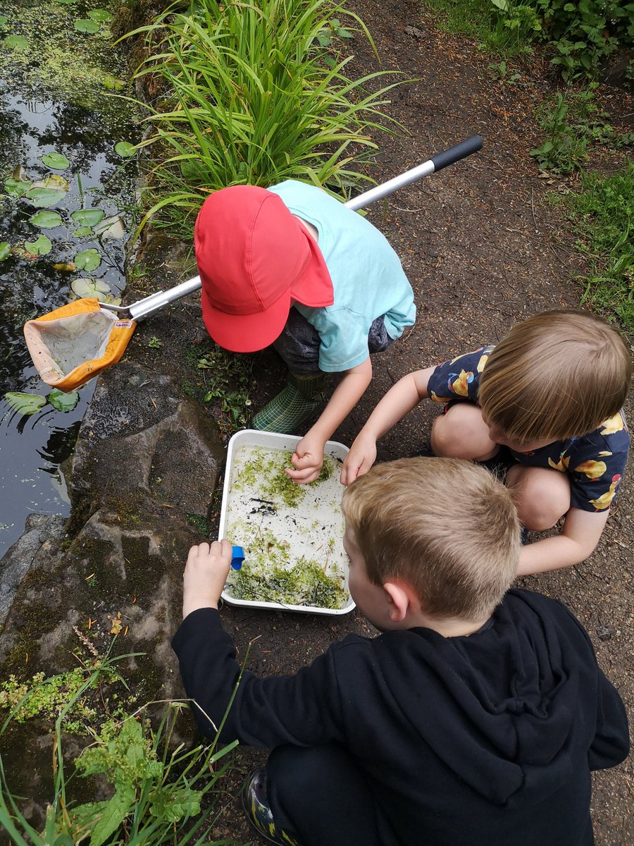 Penarlag CP tweet media