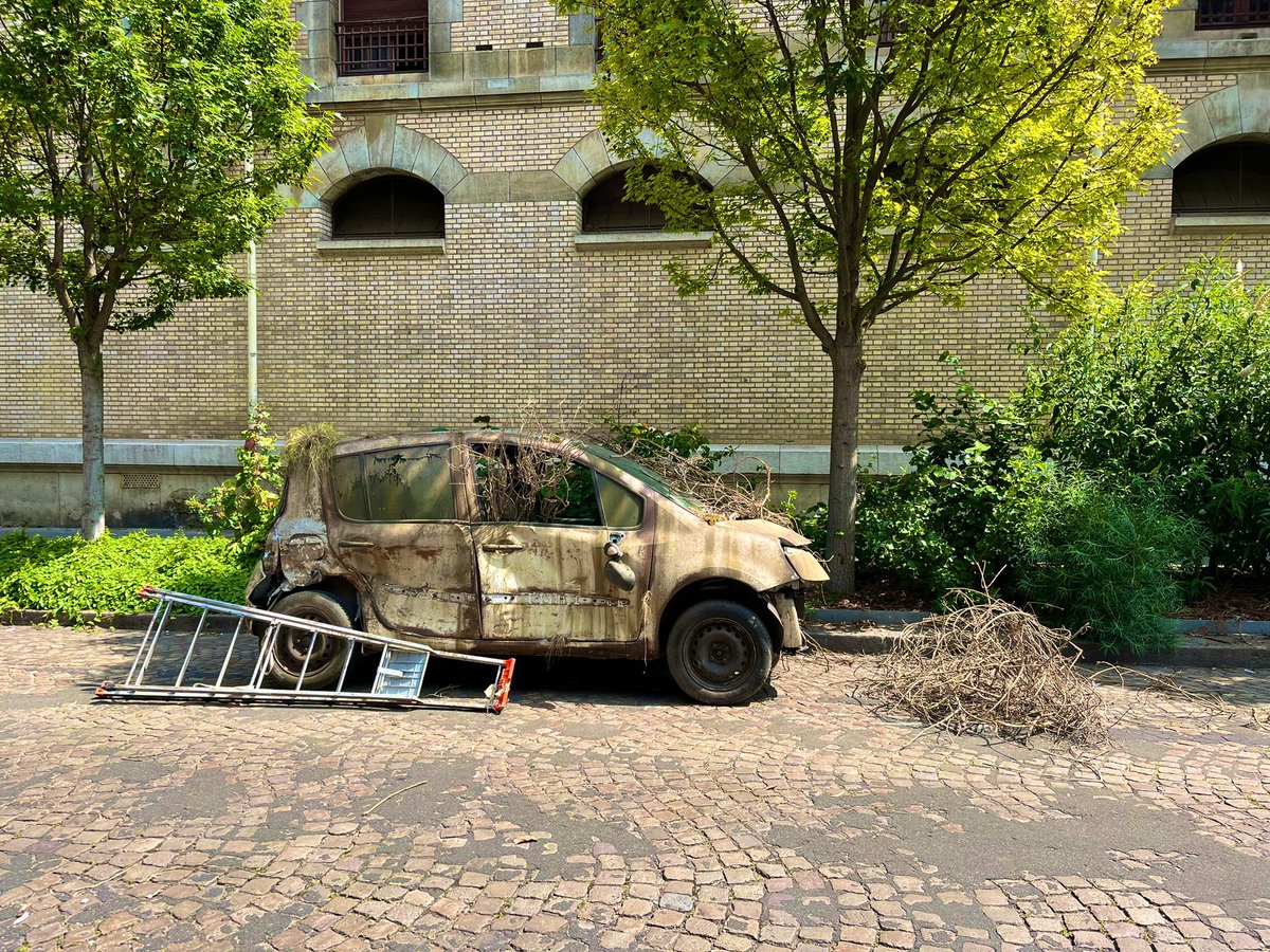 TWDFrance_0's tweet photo. 🚨INFOS🚨

Le tournage du spin-off de Daryl aura lien à Rue de Sully à Paris ! 

 Thanks @Lightenerrthang  😘 https://t.co/KGrMTiRrFH