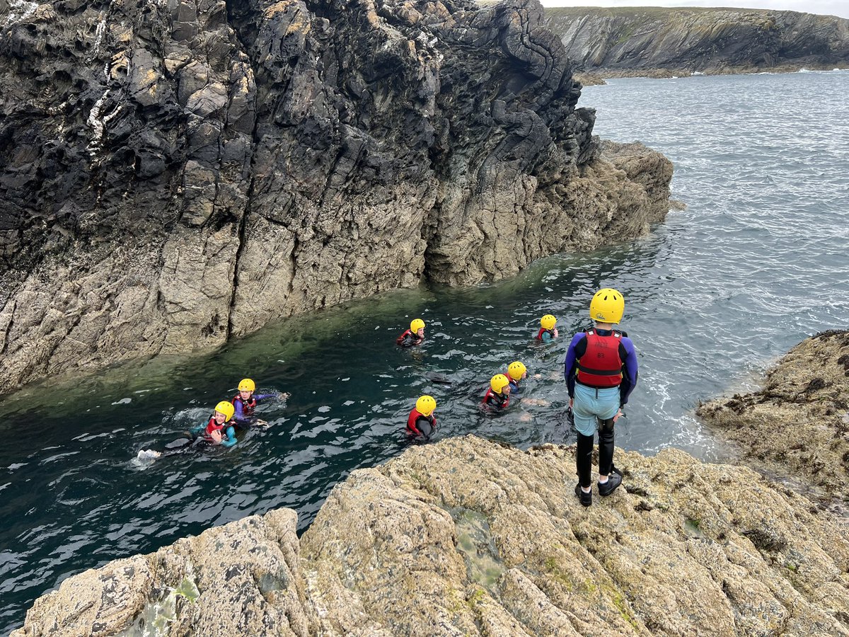 Dave Adams tweet media