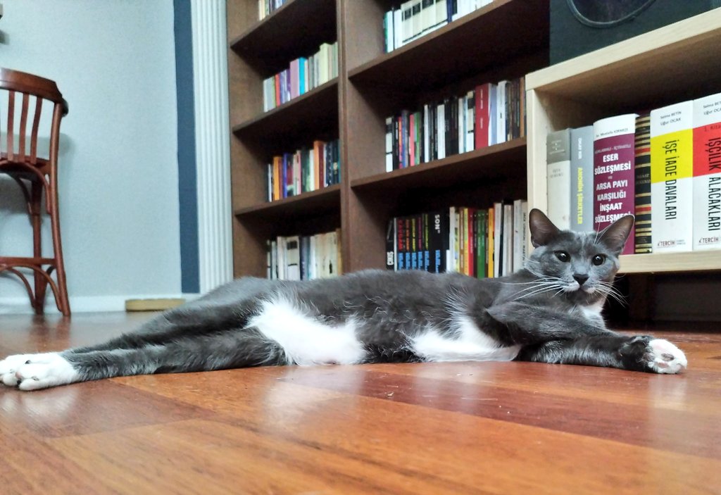 Ulusal kavurma gününde bu evde asla kurban kesilmeyeceğini söyledik