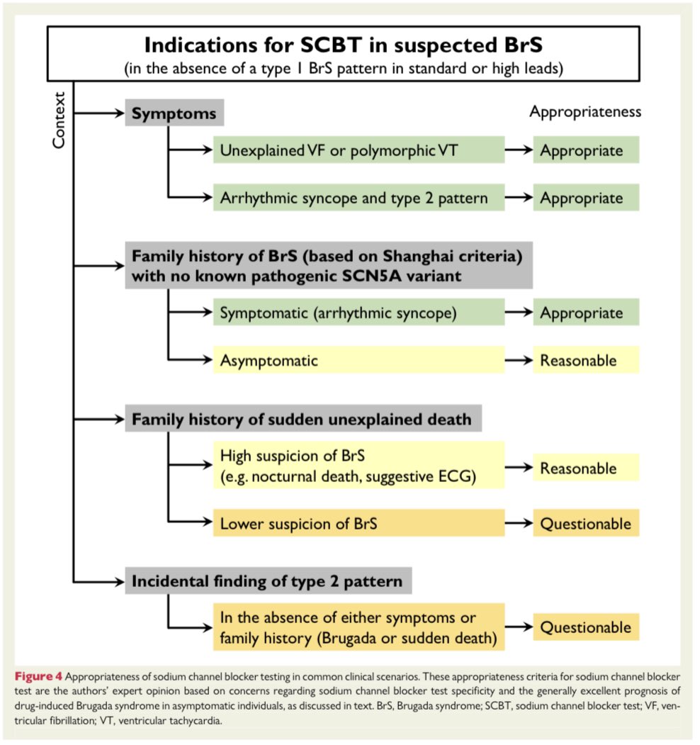 🟠Use, misuse, & pitfalls of the drug challenge test in the diagnosis of the Brugada syndrome @ESC_Journals #CardioEd #Cardiology #EPeeps