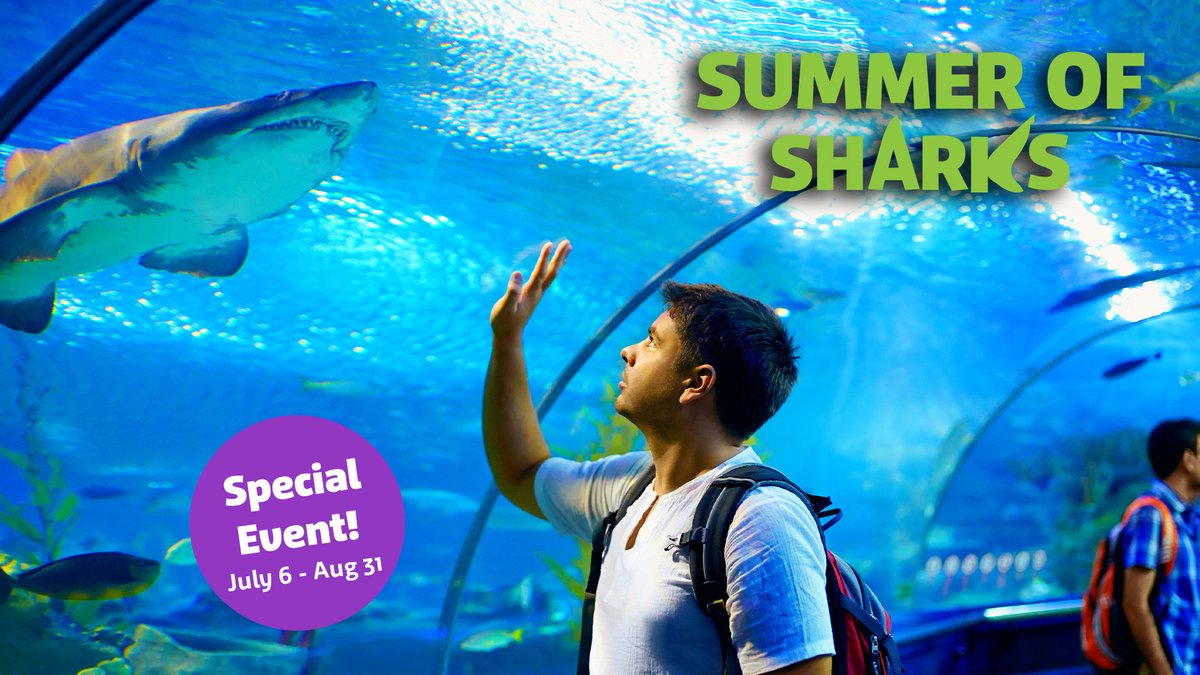 SEA LIFE at Mall of America tweet media