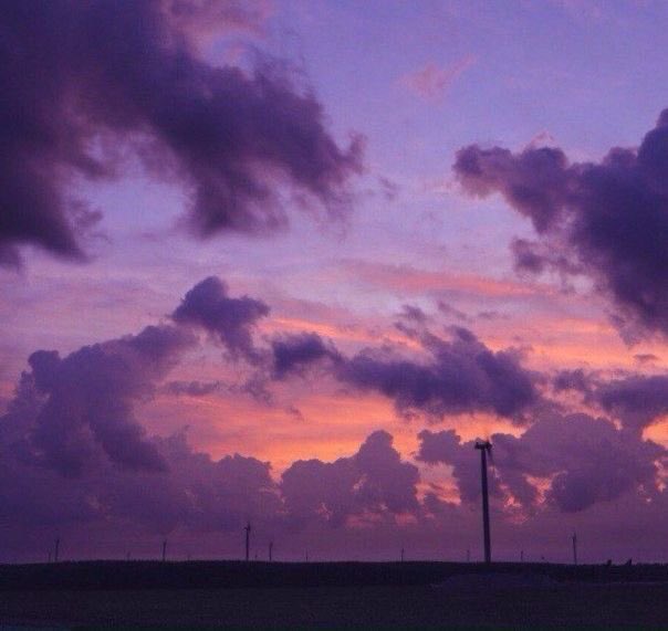 violettweets_'s tweet image. sea of clouds.