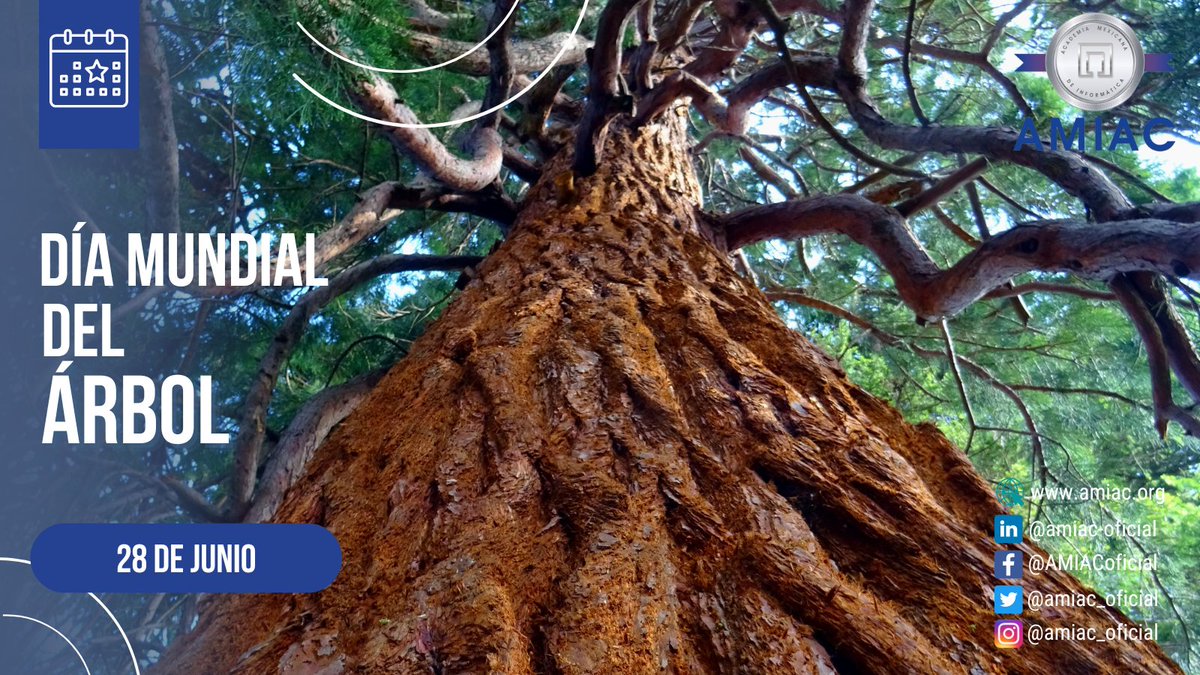 amiac_oficial's tweet photo. Efemérides @amiac_oficial:
El Congreso Mundial Forestal proclamó el 28 de junio como Día Mundial del Árbol con el objetivo de generar conciencia sobre la importancia de los recursos forestales y los árboles.
#amiac #Efemerides #informatica #EfemeridesDeHoy #DíaMundialDelArbol https://t.co/hRZaxUnUVd