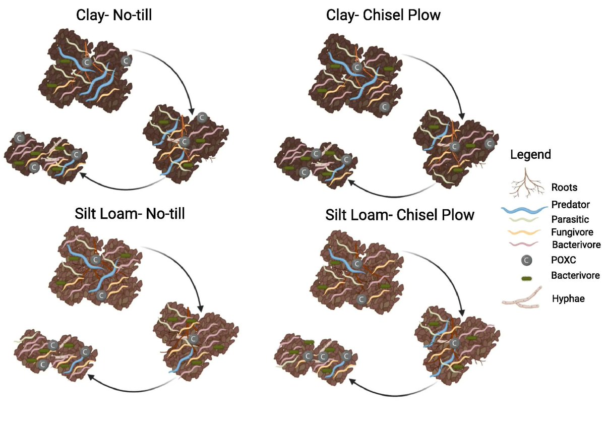 Geoderma - the global #OA journal of soil science tweet media