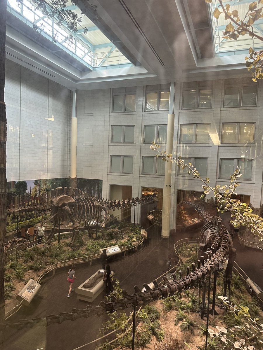 #DinosaurHall