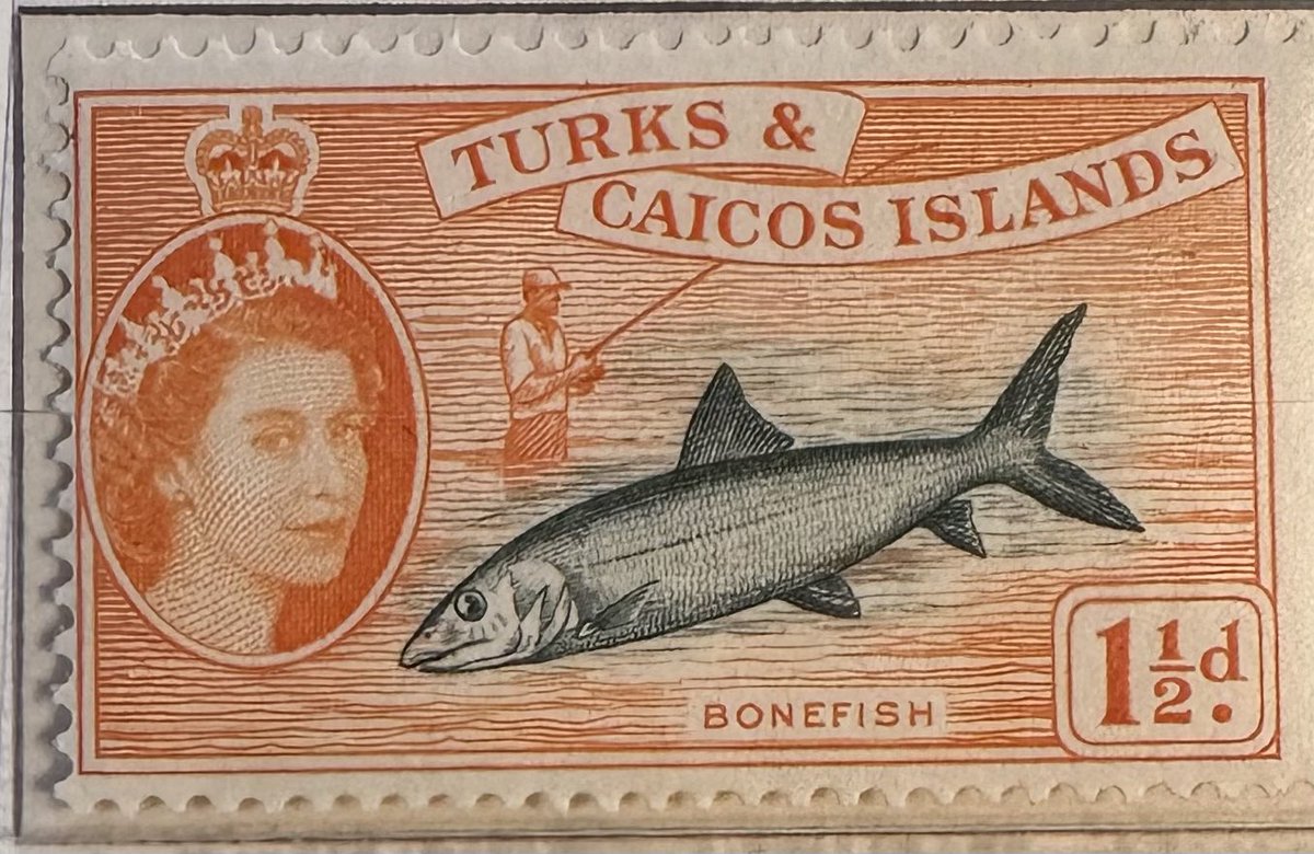 QEII stamp of the day - Turks & Caicos Islands, 1957 definitive

#philately
#stamps
#stampcollecting
#APS_stamps
#CommonWealth 
#thepostalmuseum 
#The_RPSL