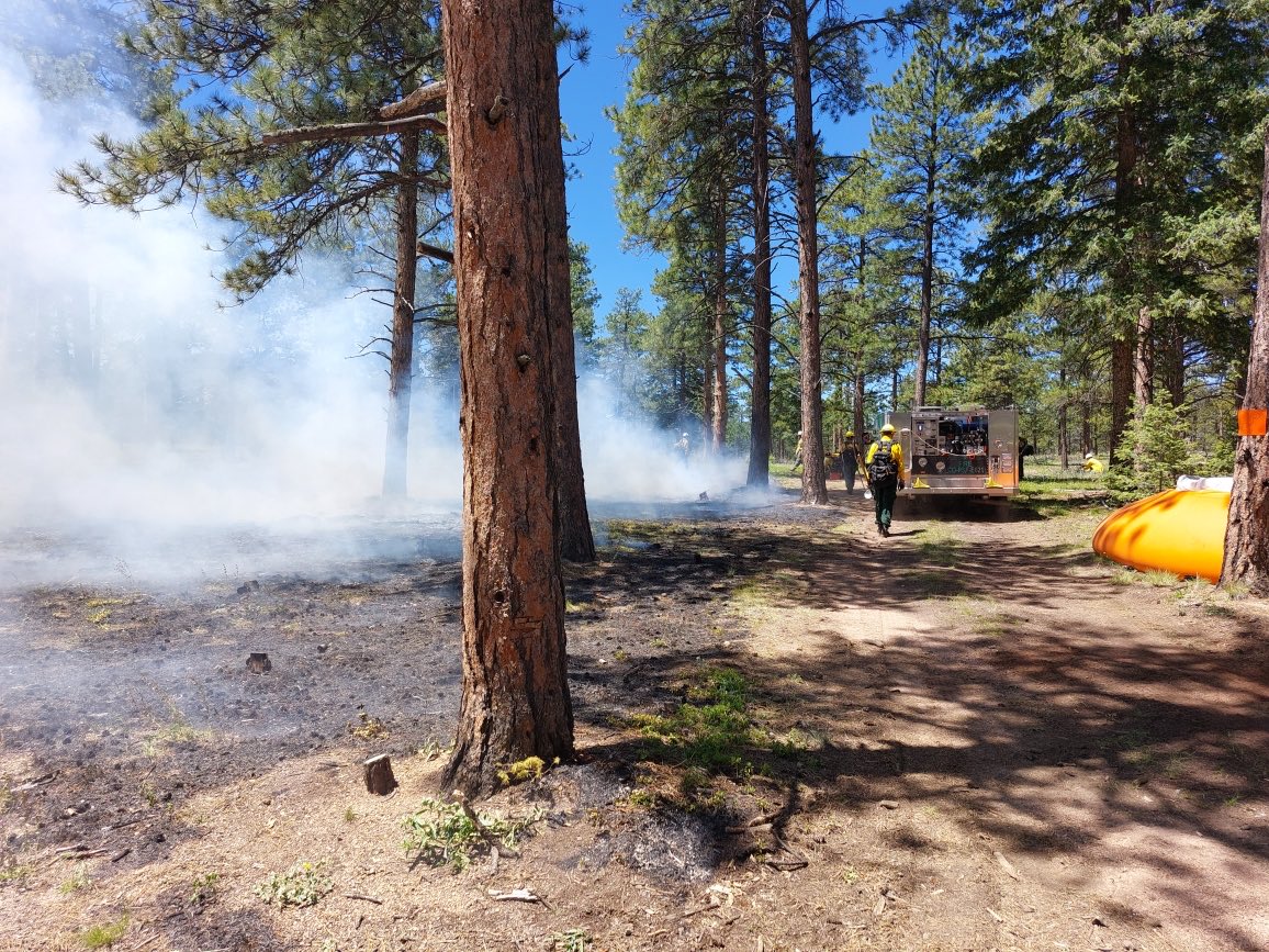 #SandSpringsRX has a successful test fire and will continue with ignitions. Smoke may be visible from state hwy 126. #SouthPlatteRD