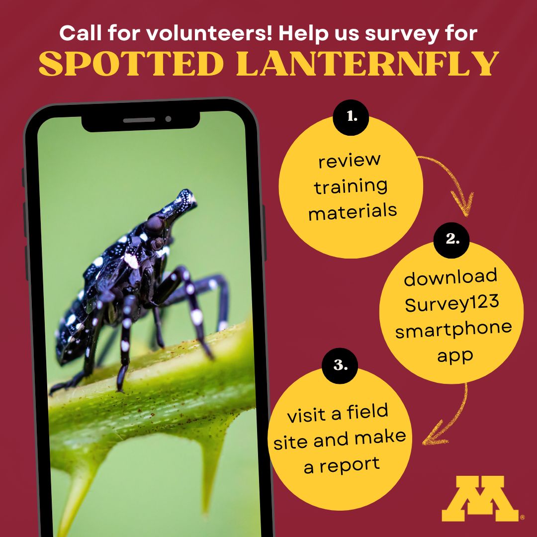 MyMinnesotaWoods tweet media