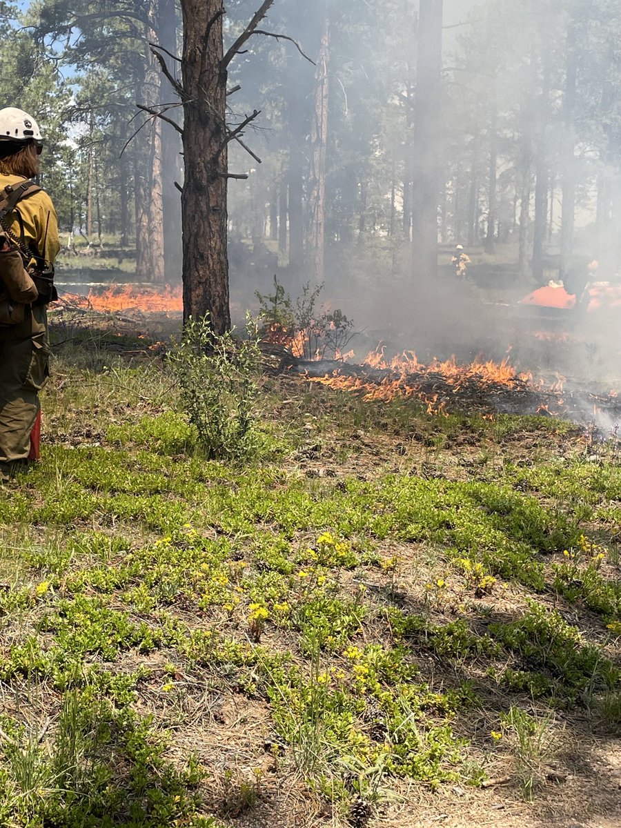 USFS_Pike&San Isabel tweet media