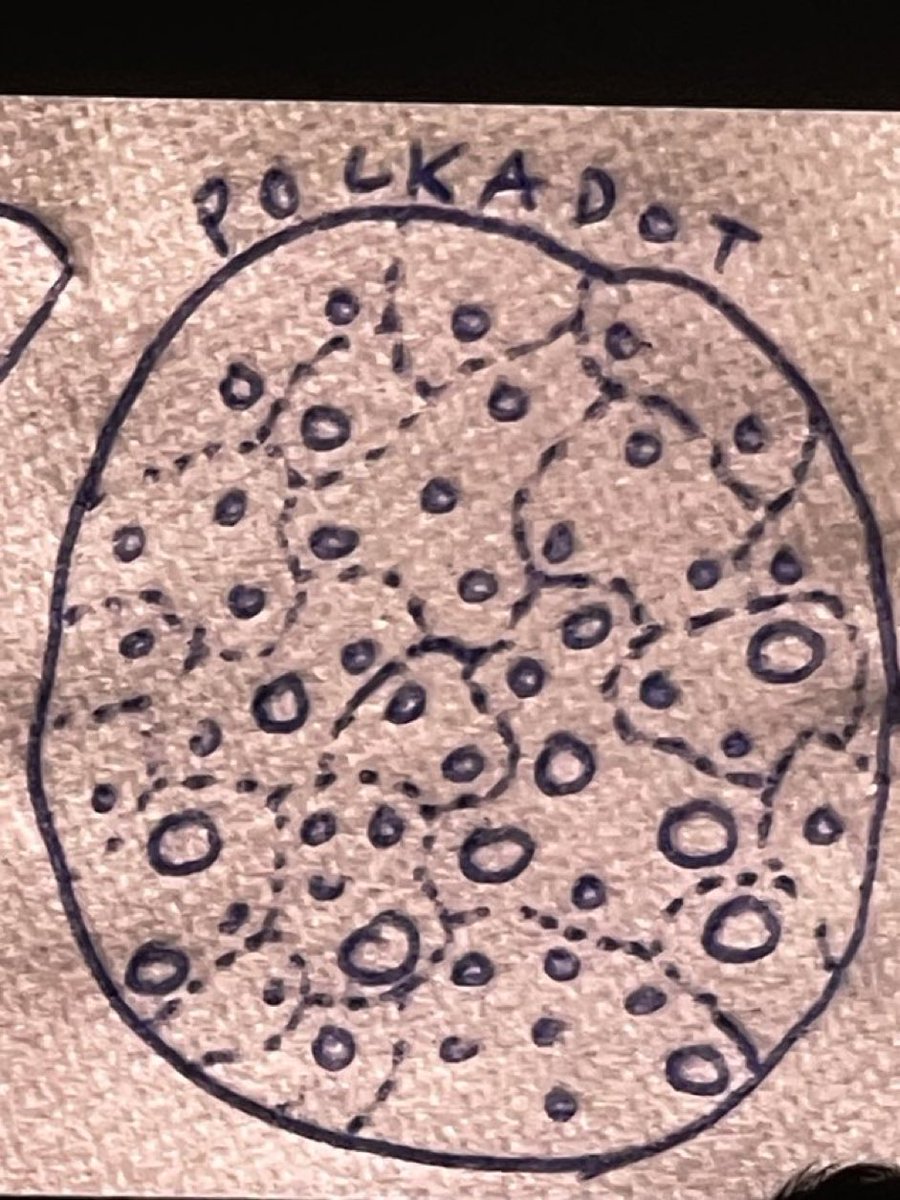 Así se ve el futuro de Polkadot