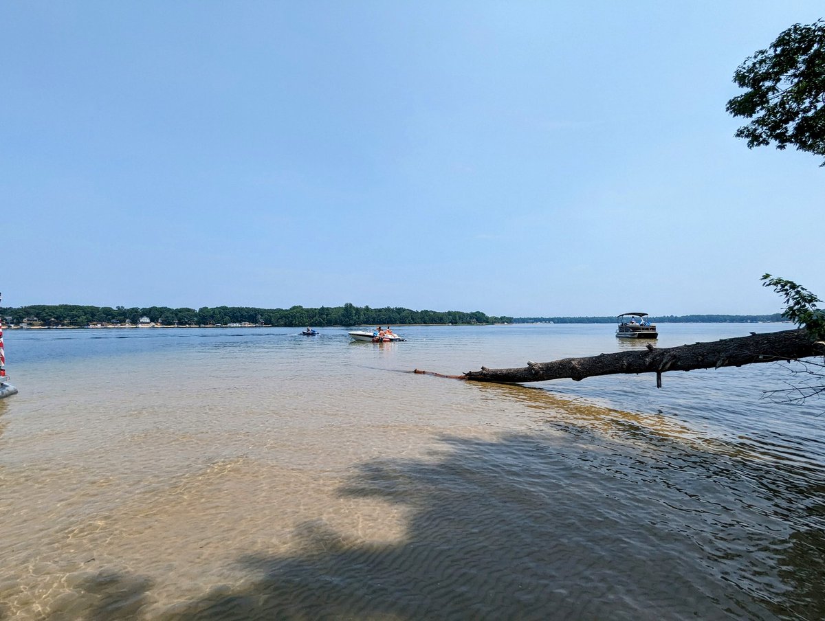 Dustin P. Walsh tweet media