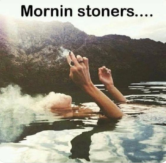 Is your morning going great?  Yes or No #Marijuana #Stonerfam #weedsmokers #Weedmob #CannabisCommunity #Wednesdayvibe #MMJ #Weedlovers #Mmemberville