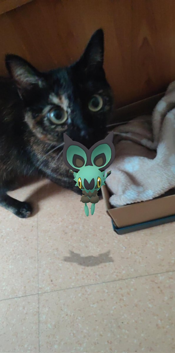 Juliye2408's tweet photo. @PokemonGOfr #GOsnapshot https://t.co/03NokzWaQ3