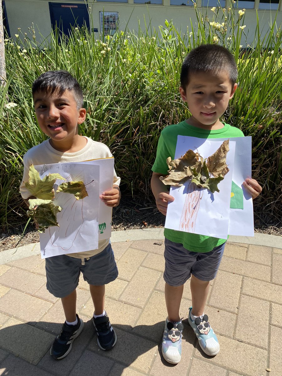 nflores_ausd's tweet photo. What’s in your backyard? Our class went on a nature walk and looked for plants to stick to our trees! They had a fun time exploring and adventuring on campus 🍁 🍃 🌲 ☀️ Thanks @_vmonge for the great idea! 💭 💡 https://t.co/JvbG5jsFCC