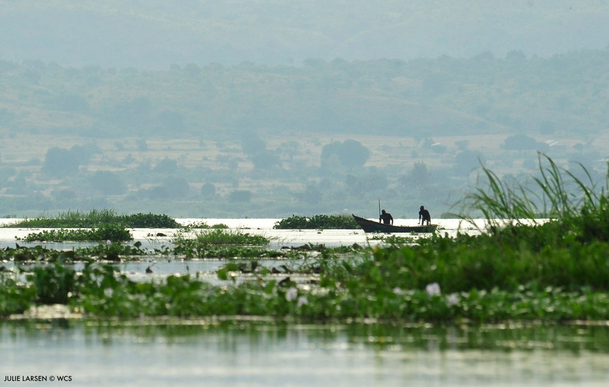 Pleased to share second call for nominations for an Advisory Committee of Indigenous Peoples and Local Communities. Committee will provide advice for development of IP &amp; LC grants fund, on overall proposal program design, and more. Apply by July 10. bit.ly/42qfCQv