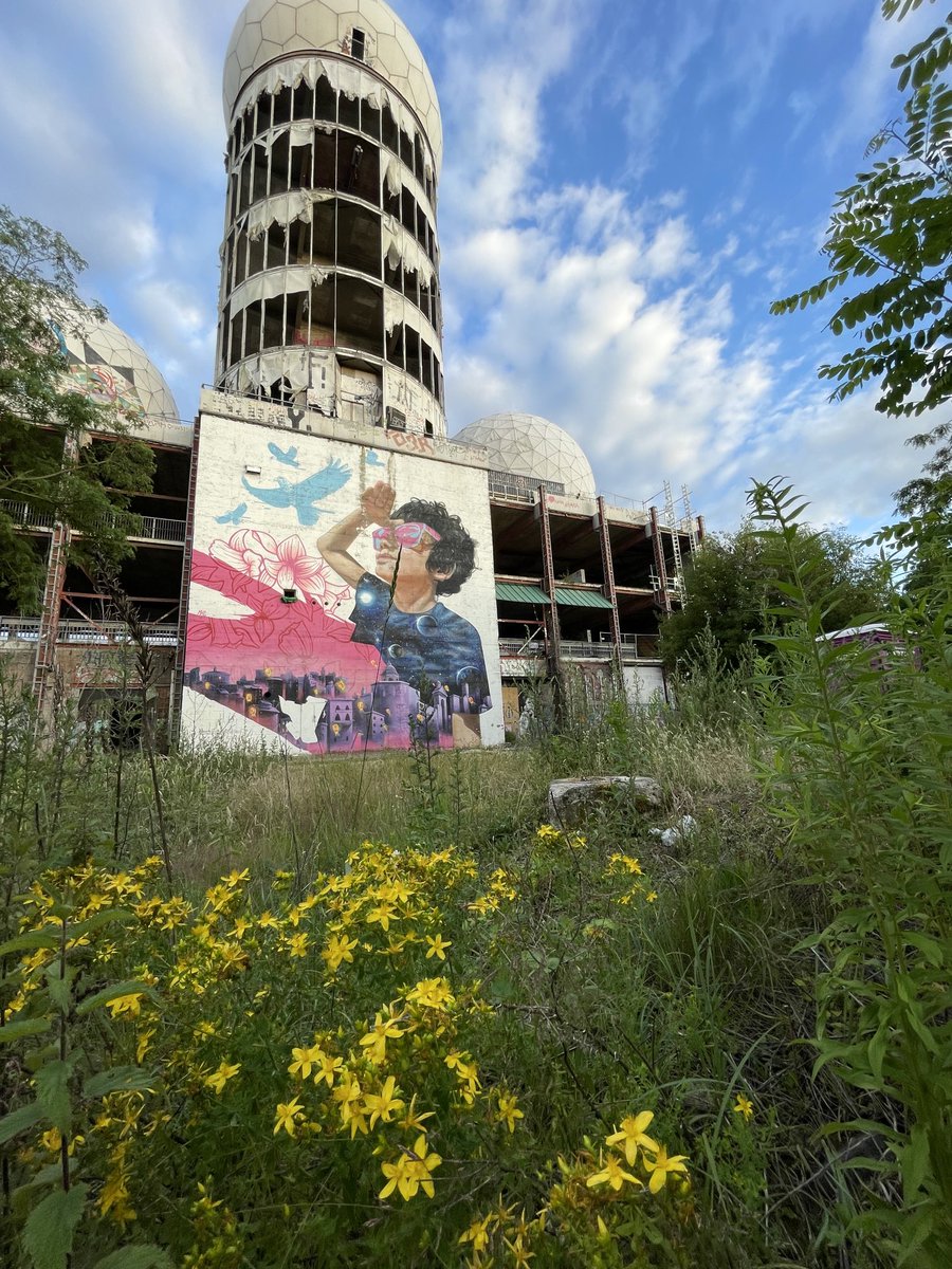 #Serotonin meeting in Berlin - visiting the Teufelsberg, Cold War listening station become street art haven. St. John’s Wort in the foreground for the serotonin insiders.