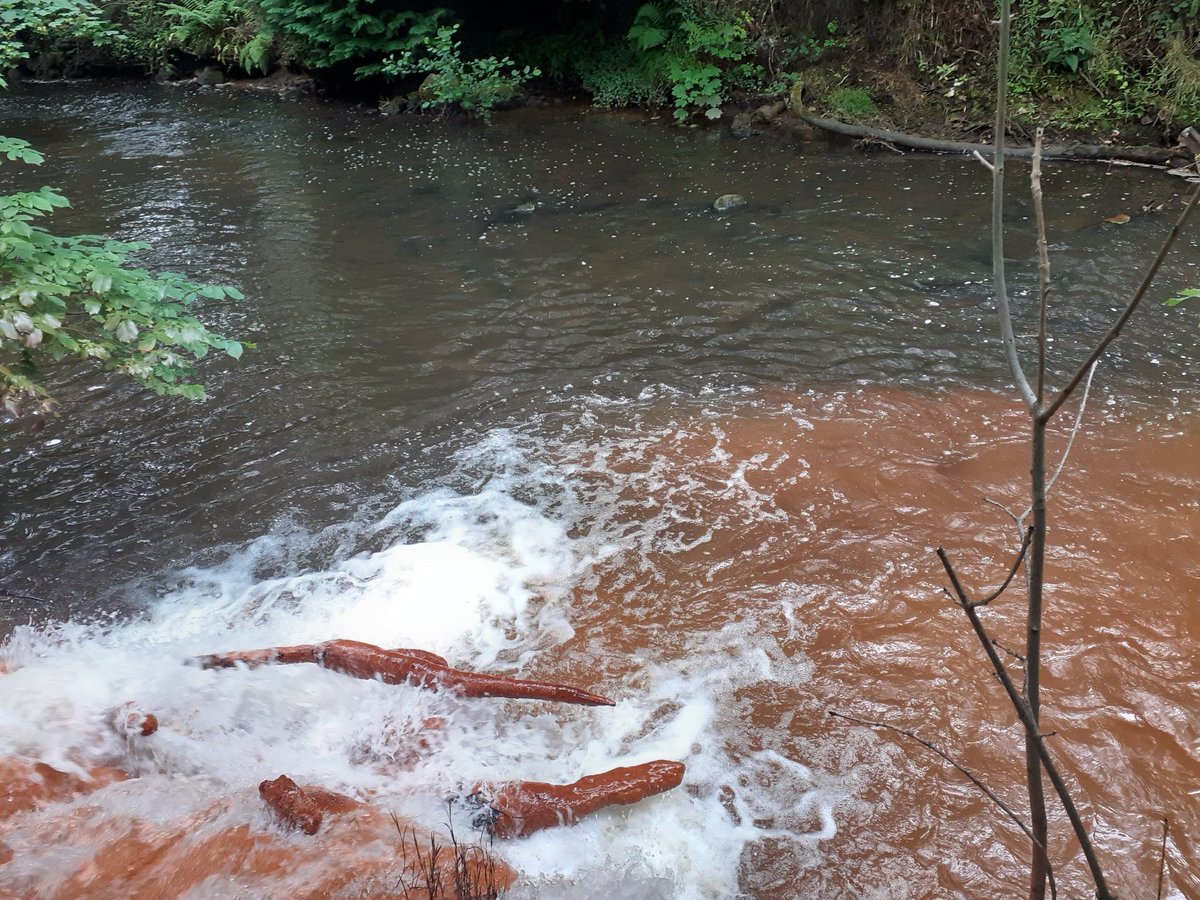 Geotribologist's tweet photo. End of three days of fieldwork sampling waters in the Esk catchment. Finally got to sample the mine water discharges. Staggering changes to the clean river water as the drainage oxides. More than made up for the weather. https://t.co/YujzK35PKE