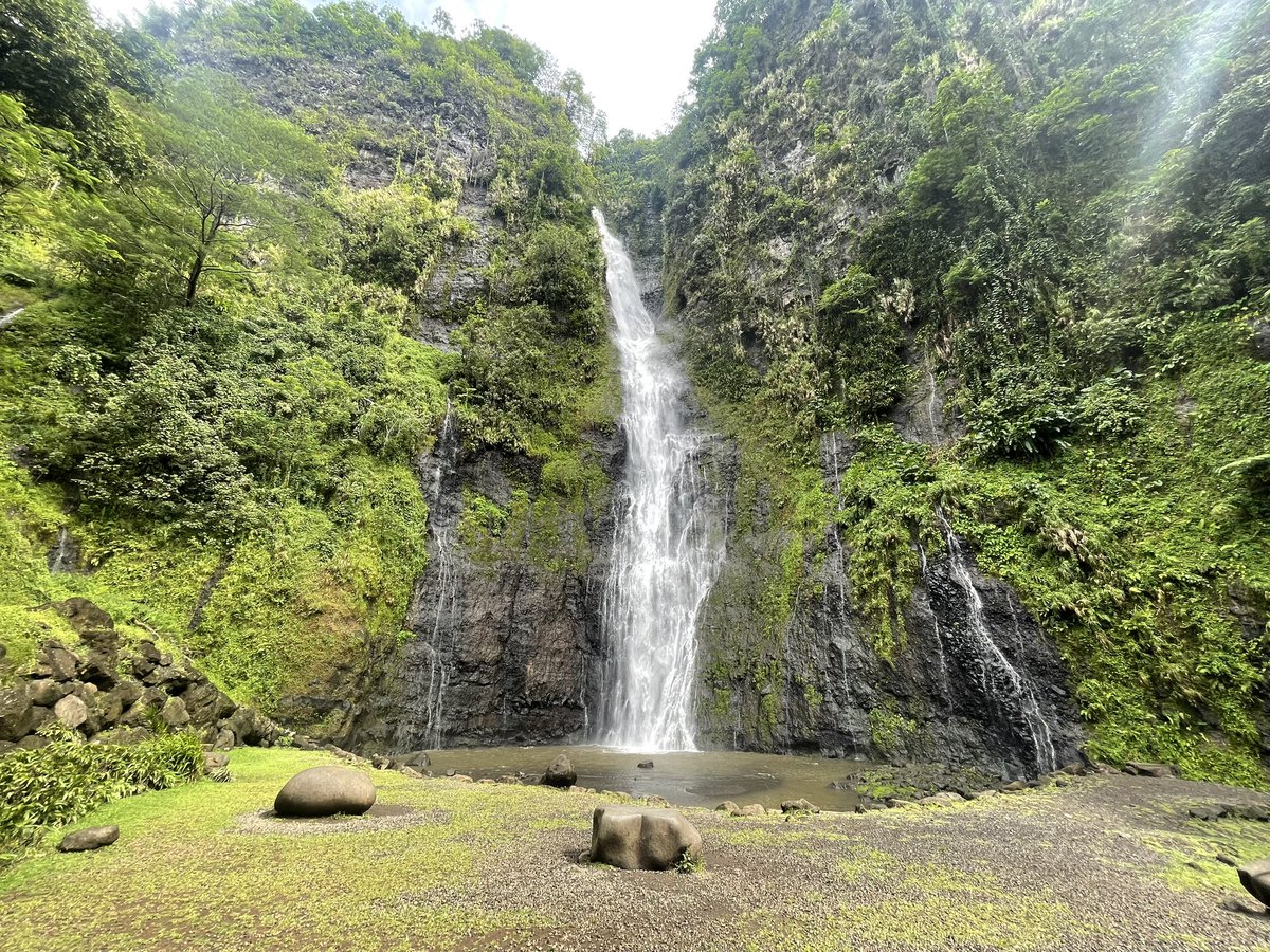 fly_guy_20's tweet photo. Back from a bucket list vacation in Tahiti! Can’t recommend spur of the moment travel enough! See the world and enjoy life! https://t.co/YbbmuWteNM