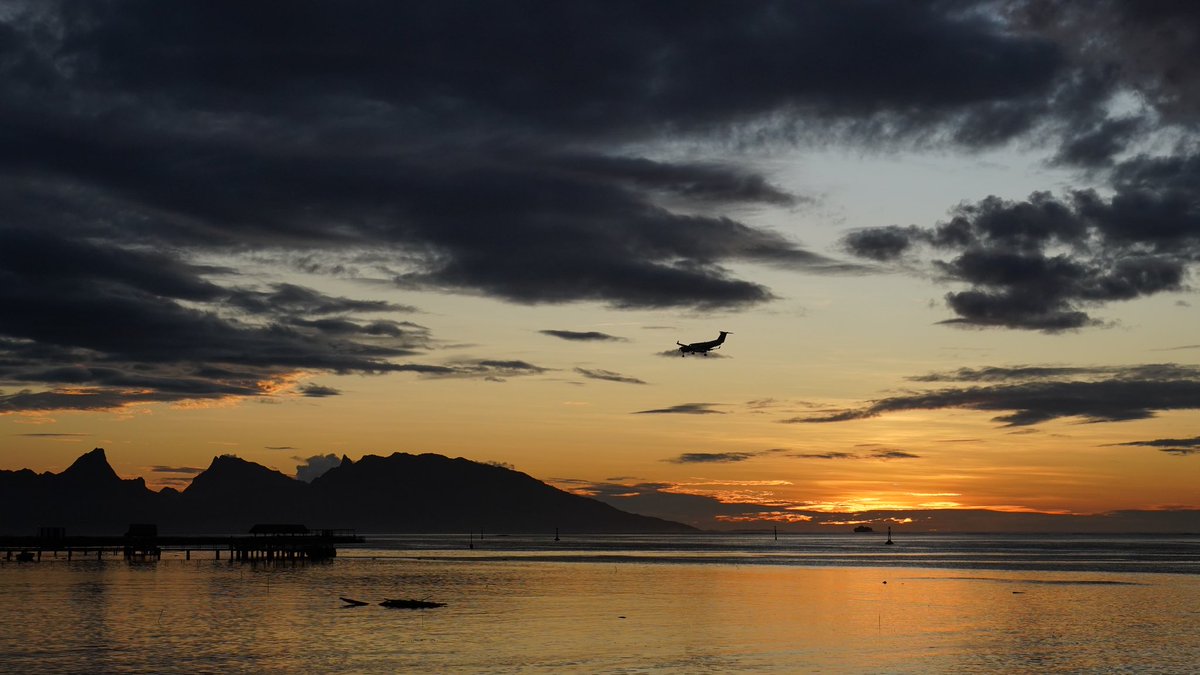 fly_guy_20's tweet photo. Back from a bucket list vacation in Tahiti! Can’t recommend spur of the moment travel enough! See the world and enjoy life! https://t.co/YbbmuWteNM